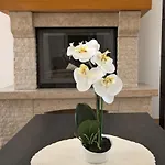 Luxury Stone Zanelli Vila Ližnjan