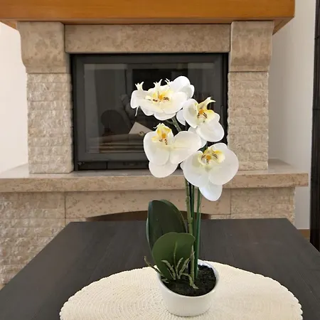 Luxury Stone Zanelli Вилла Лижнян